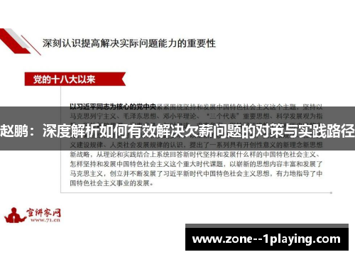 赵鹏：深度解析如何有效解决欠薪问题的对策与实践路径