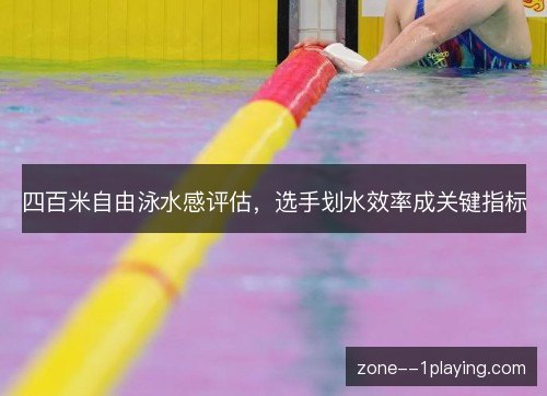 四百米自由泳水感评估，选手划水效率成关键指标